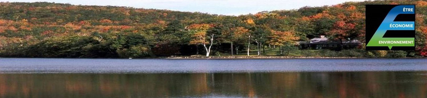 Image2.jpg